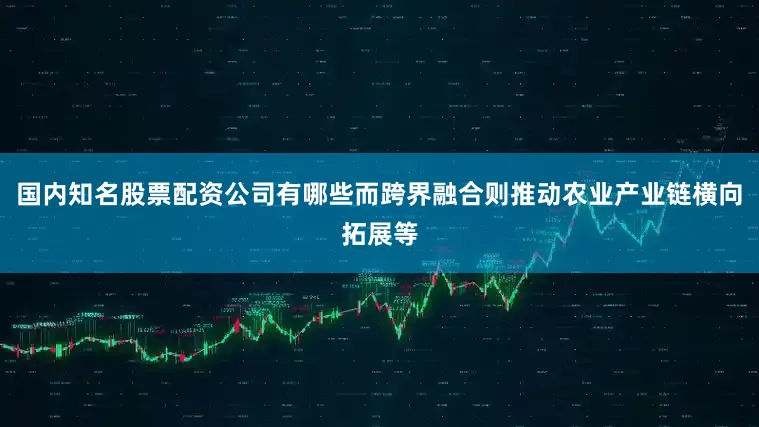 国内知名股票配资公司有哪些而跨界融合则推动农业产业链横向拓展等